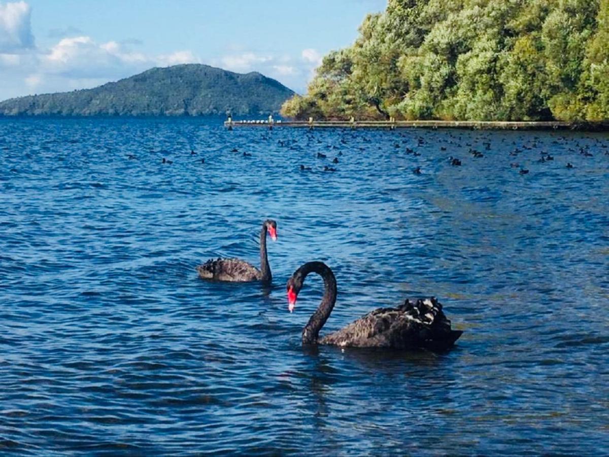 Gemini Lodge Rotorua Buitenkant foto